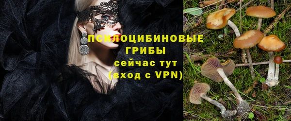 спайс Михайловск