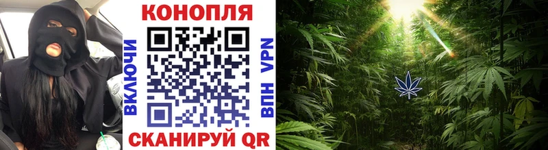 Канабис планчик Ленинградская